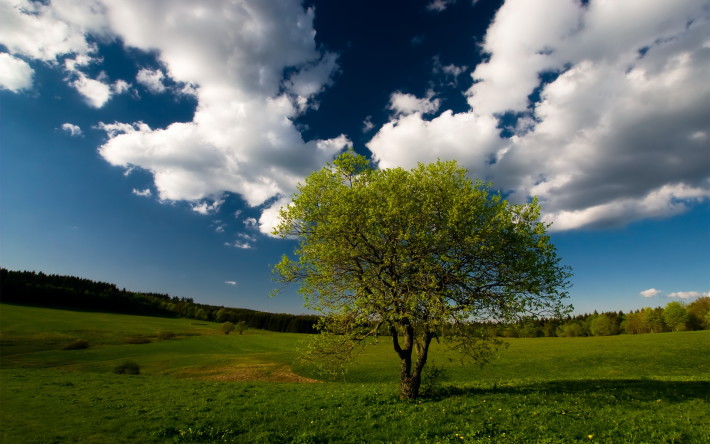 Amazing_Top_HQ_and_HD_Wallpapers_laba.ws